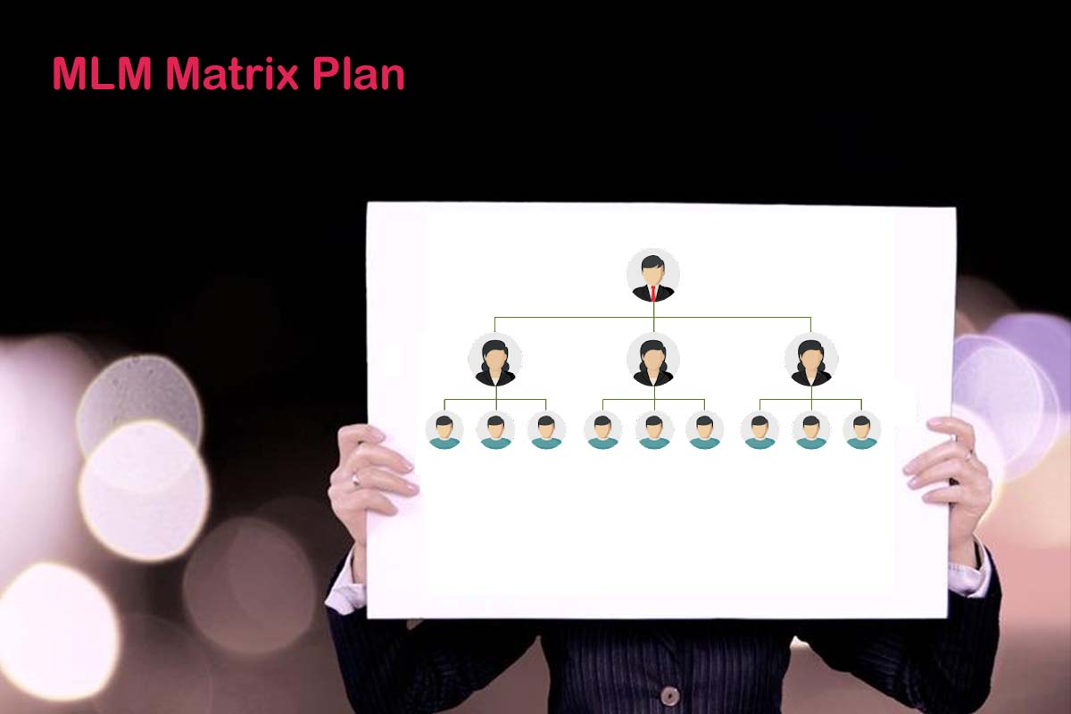 MLM_Matrix_Plan